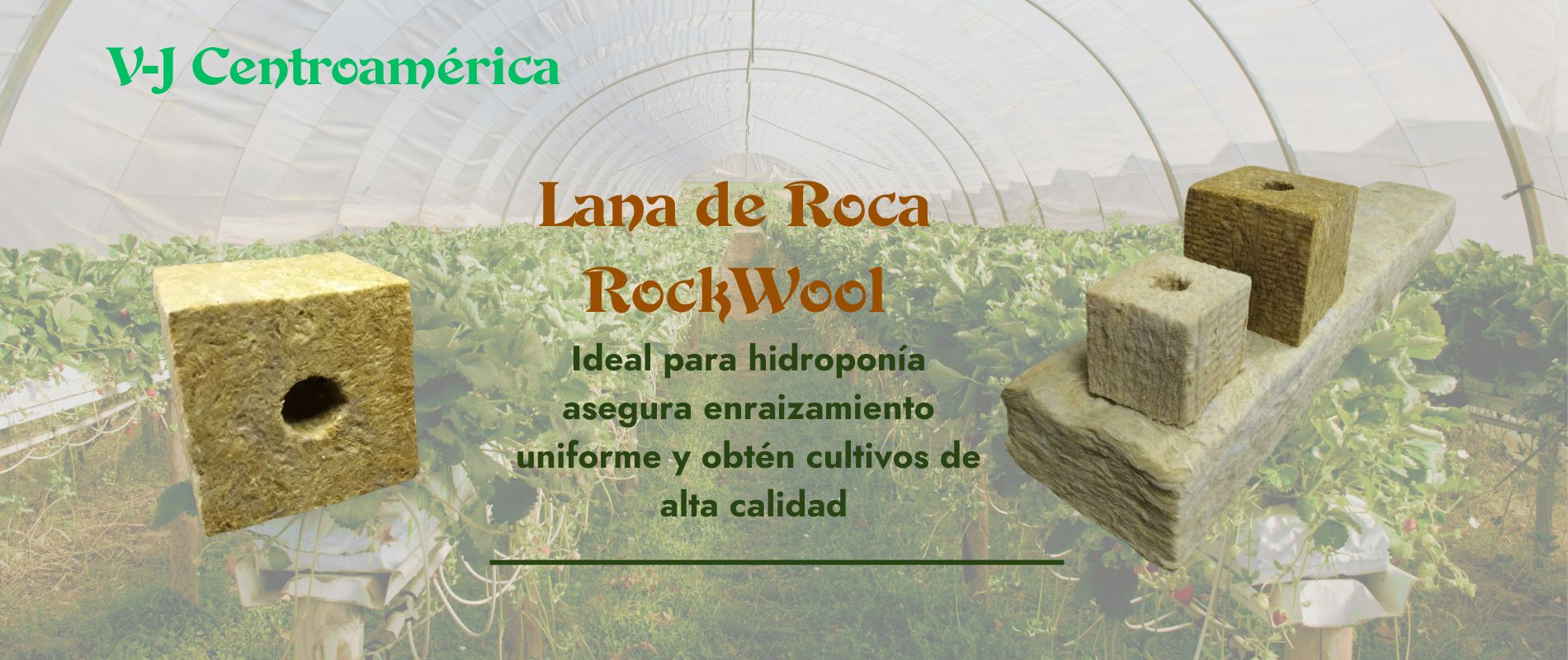 Plástico para invernadero en Costa Rica